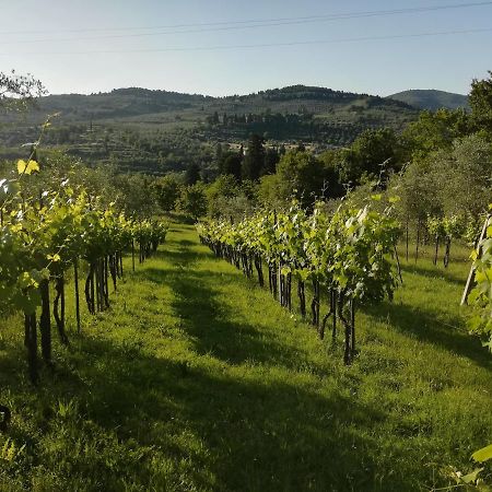 Villa Storica Di Majano 바뇨아리폴리 외부 사진