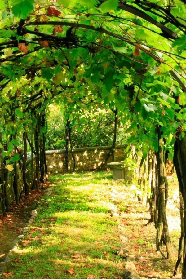 Villa Storica Di Majano 바뇨아리폴리 외부 사진