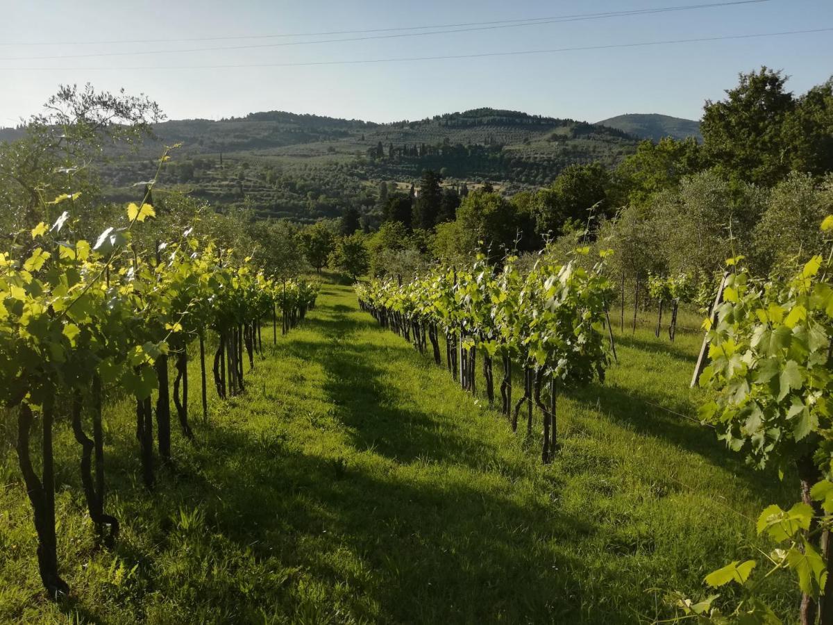 Villa Storica Di Majano 바뇨아리폴리 외부 사진